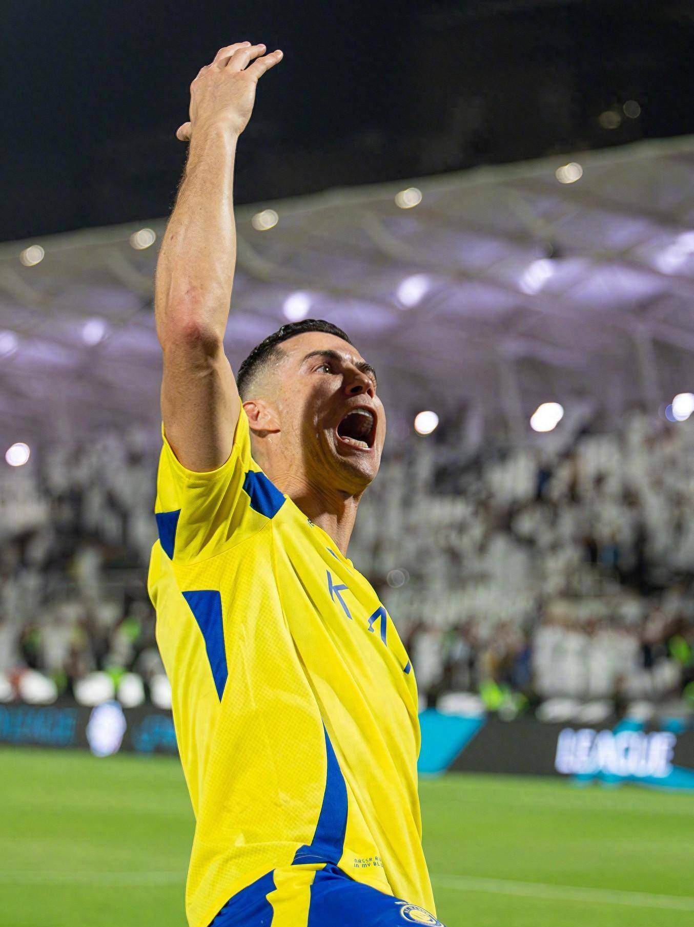 了技术流与 了技术流与